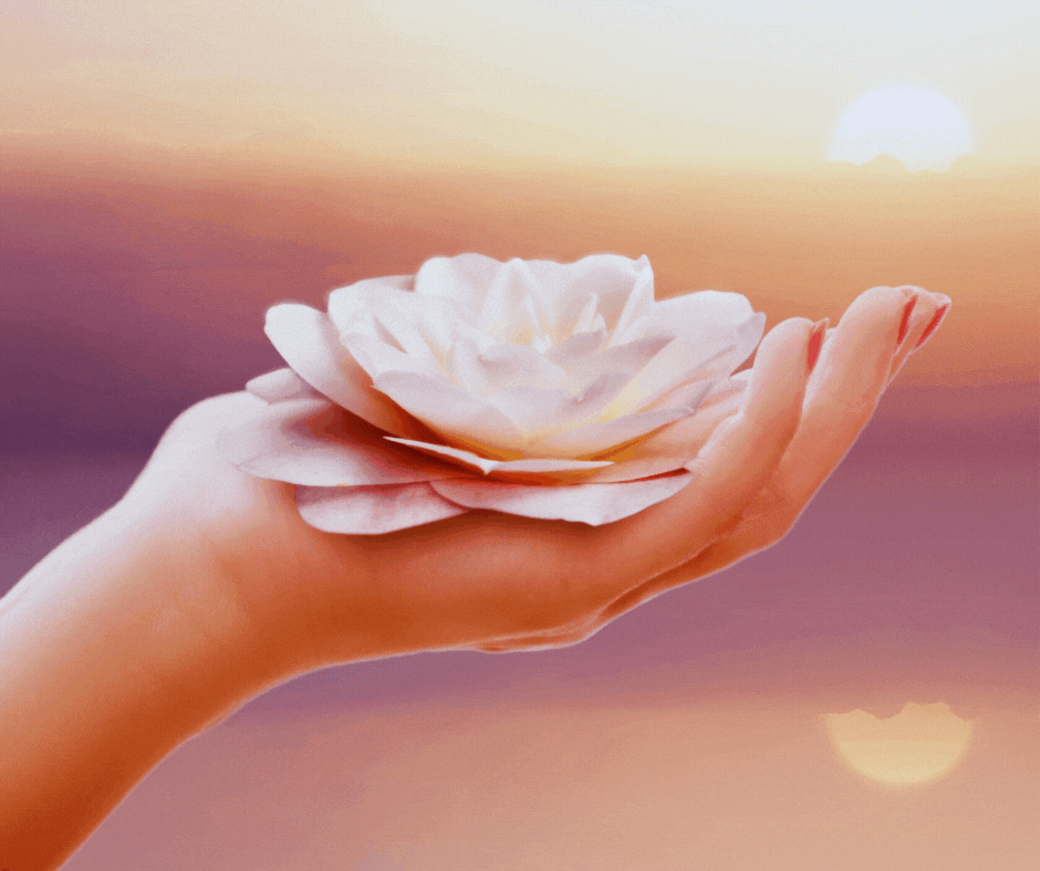 What advice do you have for a twin flame chaser?