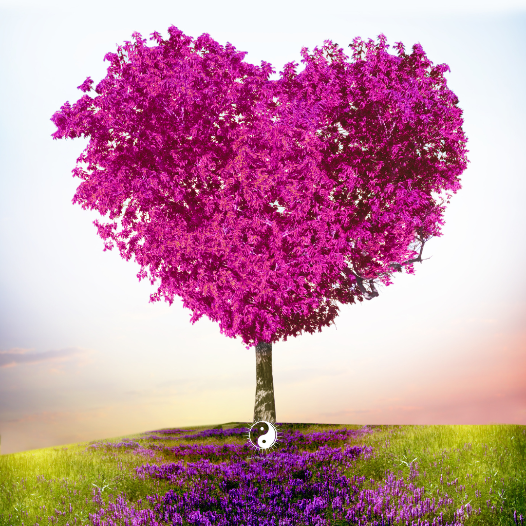 What are some twin flame runner fears?