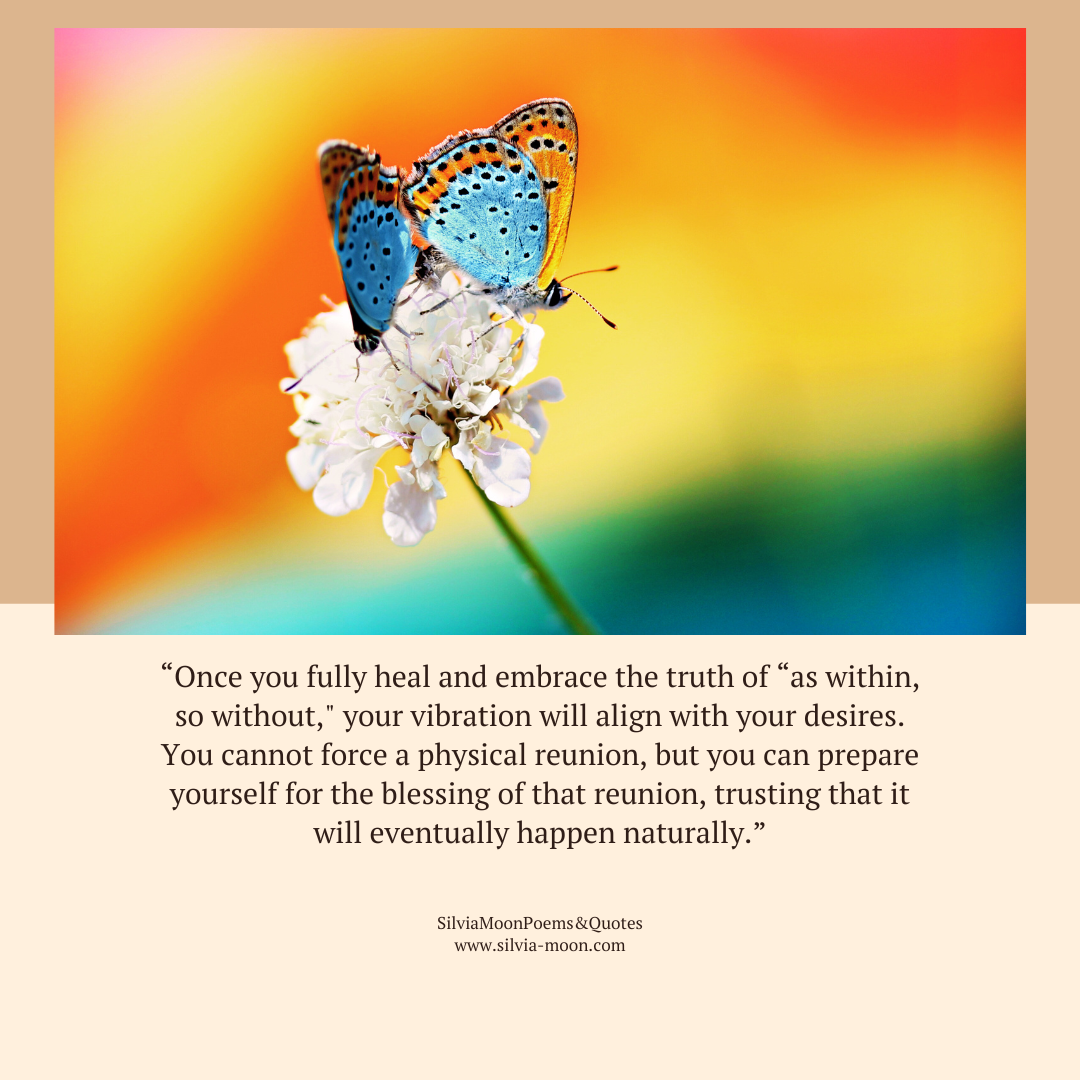 Why does a Twin Flame appear happy with their life on social media?