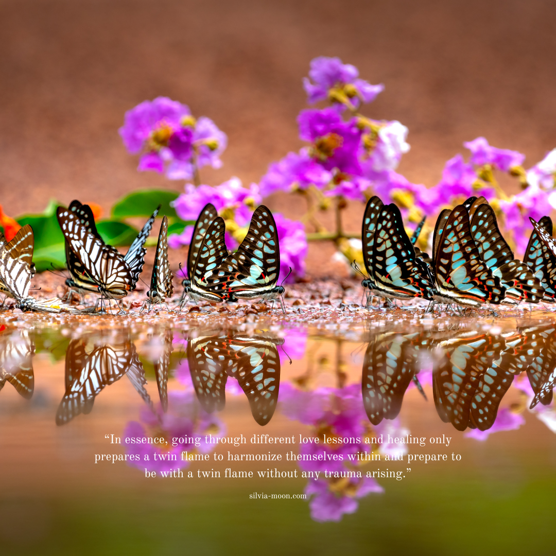 The Mystical Journey of a Twin Flame Reunion: Is It Possible Without Knowing Their Whereabouts?