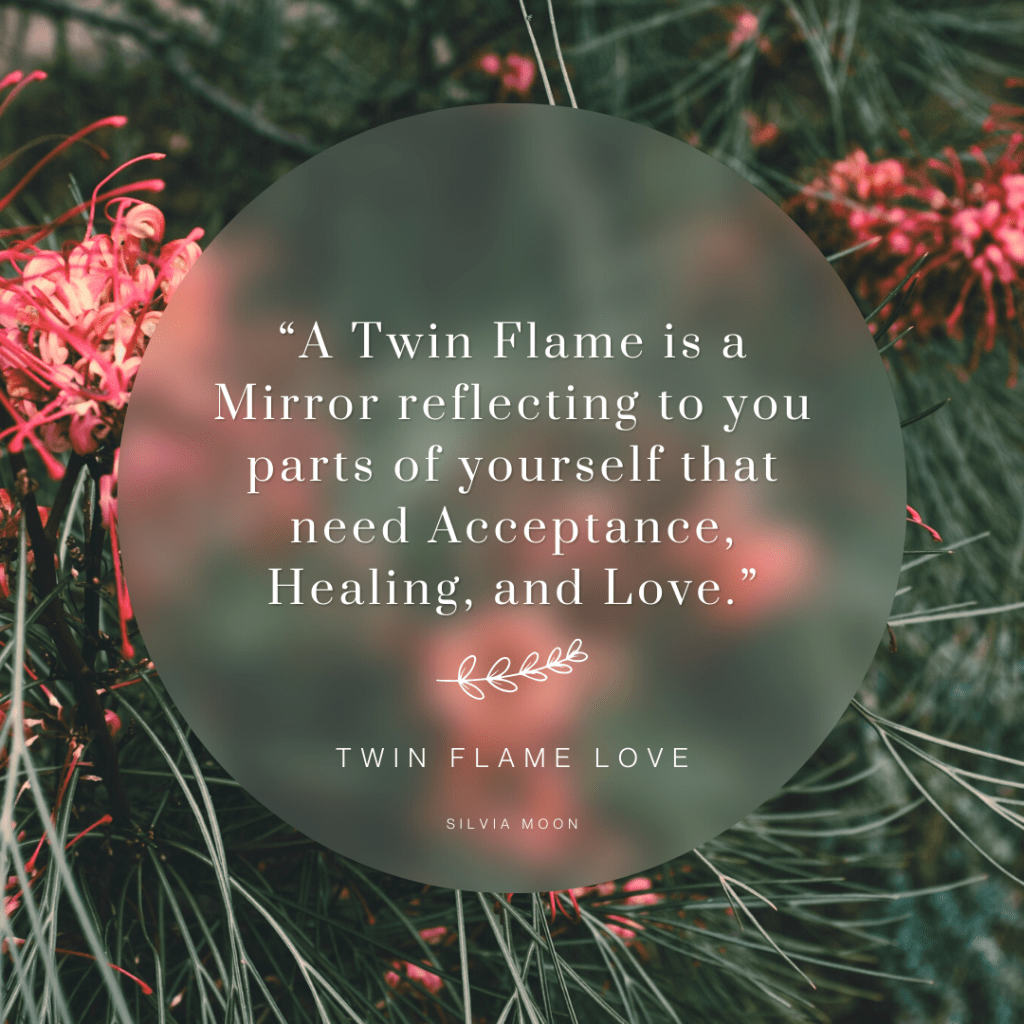 "A Twin Flame is a Mirror reflecting to you parts of yourself that need Acceptance, Healing, and Love." - Twin Flame Love by Silvia Moon, overlayed on a blurred botanical background with pink flowers.
