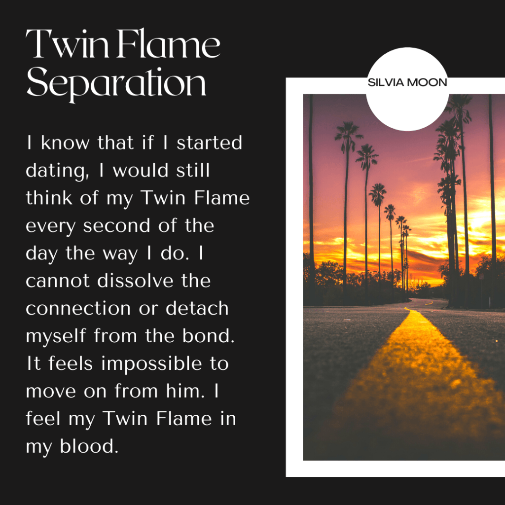 A sunset view with palm trees lining a road, overlaid with text about Twin Flame separation by Silvia Moon.